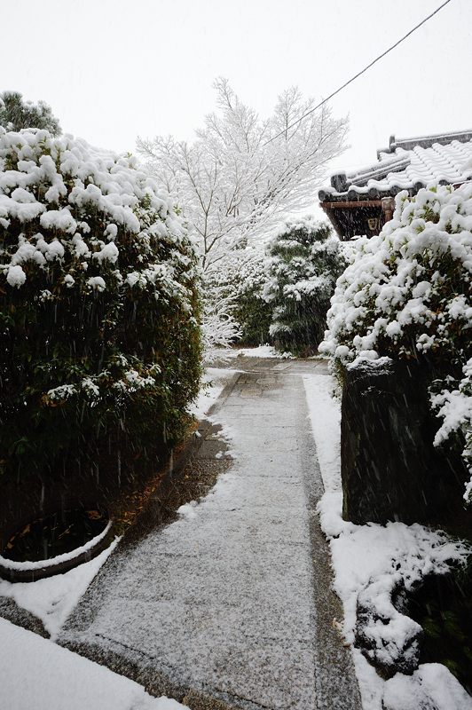 元旦雪景色!@東福寺塔頭 光明院_f0032011_16542472.jpg