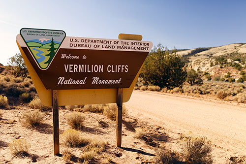 c0148812_6241148.jpg