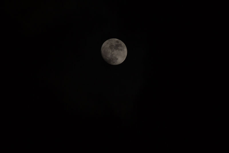 a0278914_5521895.jpg