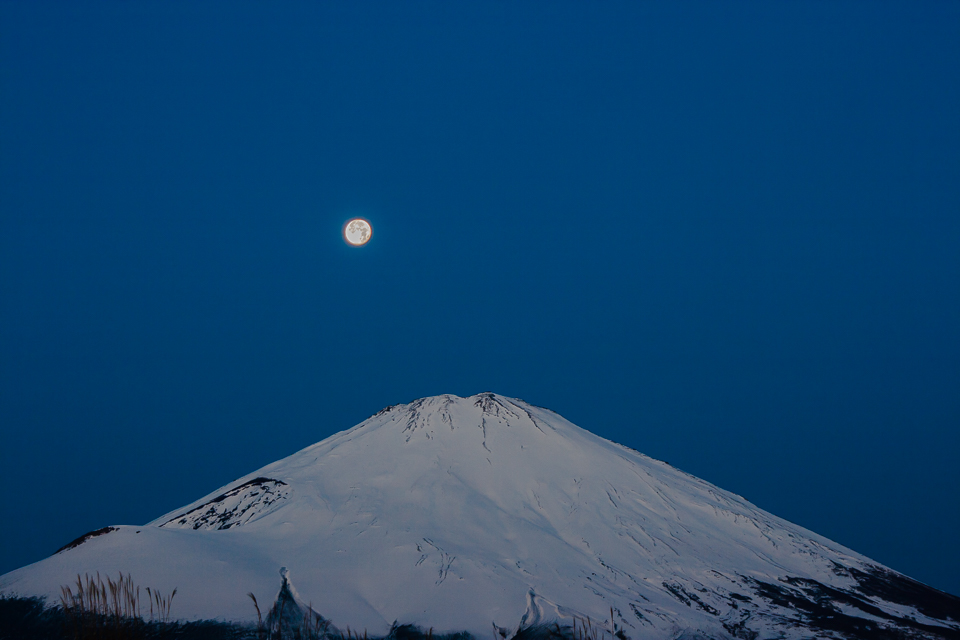 b0010915_9263722.jpg