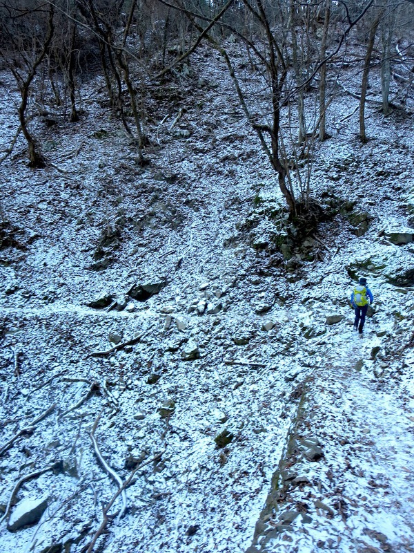 新年初登り〜川苔山！_a0165316_13241356.jpg