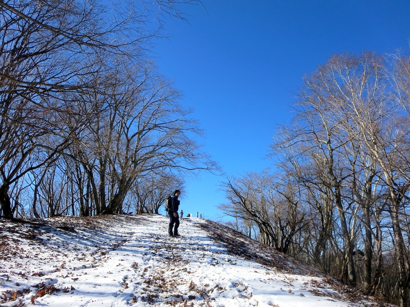 新年初登り〜川苔山！_a0165316_136215.jpg