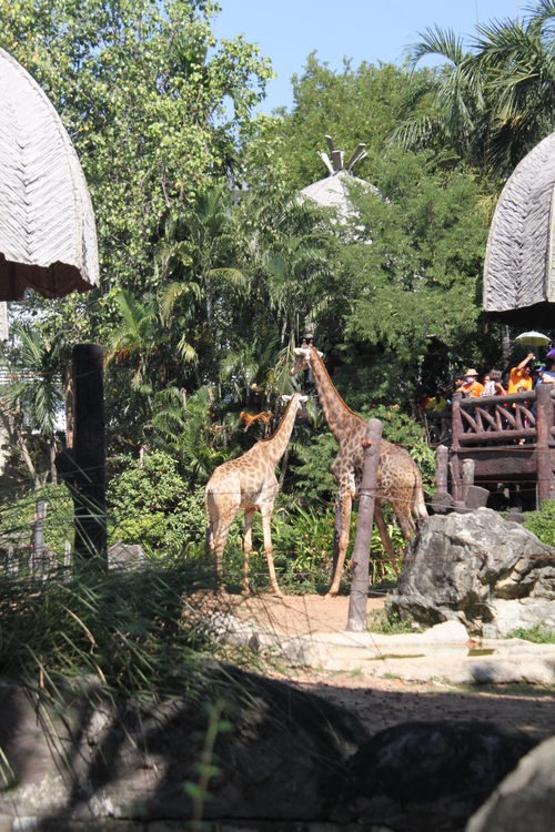 f0233916_11423137.jpg