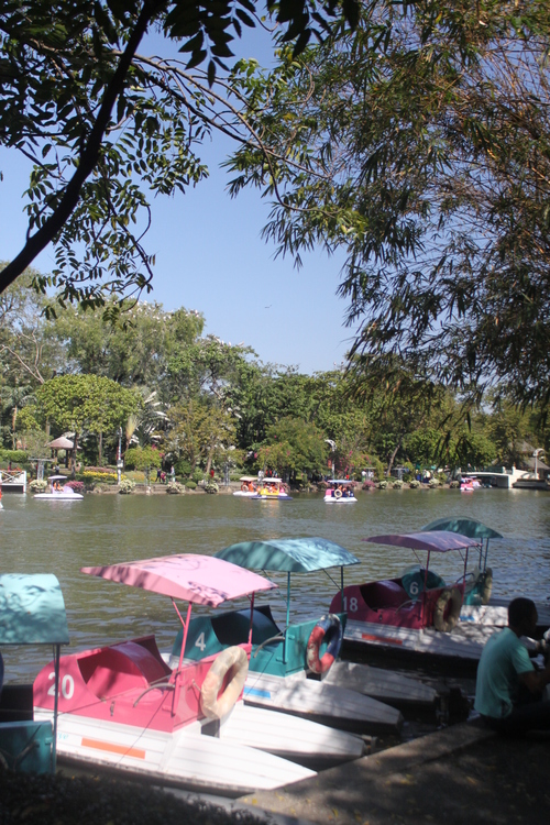 f0233916_11502769.jpg
