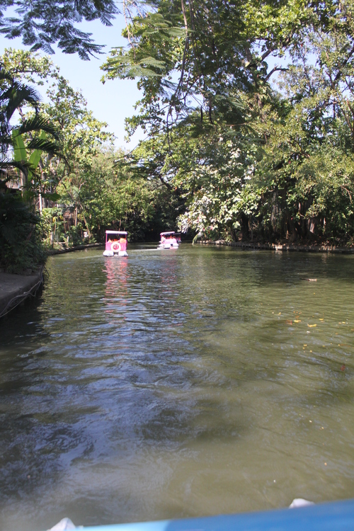 f0233916_1252012.jpg