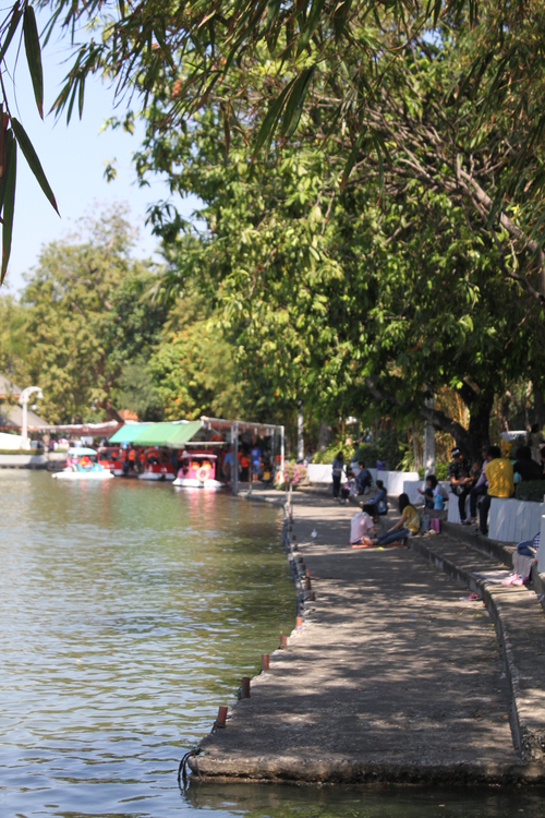 f0233916_14291677.jpg