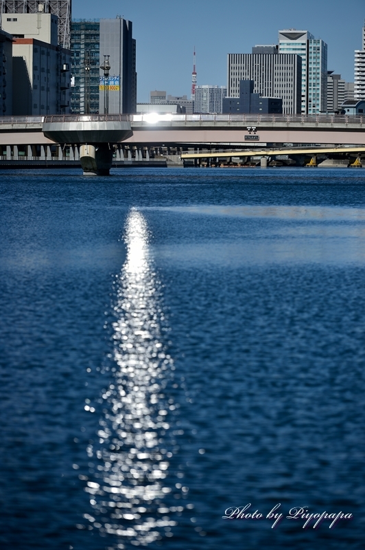 2015　年　謹賀新年　羽田空港沖！！_d0282718_14503171.jpg