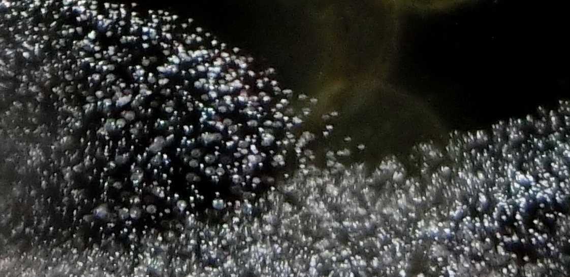 c0331825_16455212.jpg