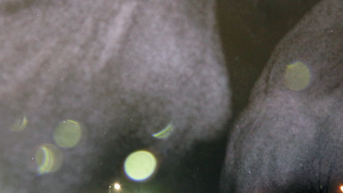 c0331825_17145022.jpg