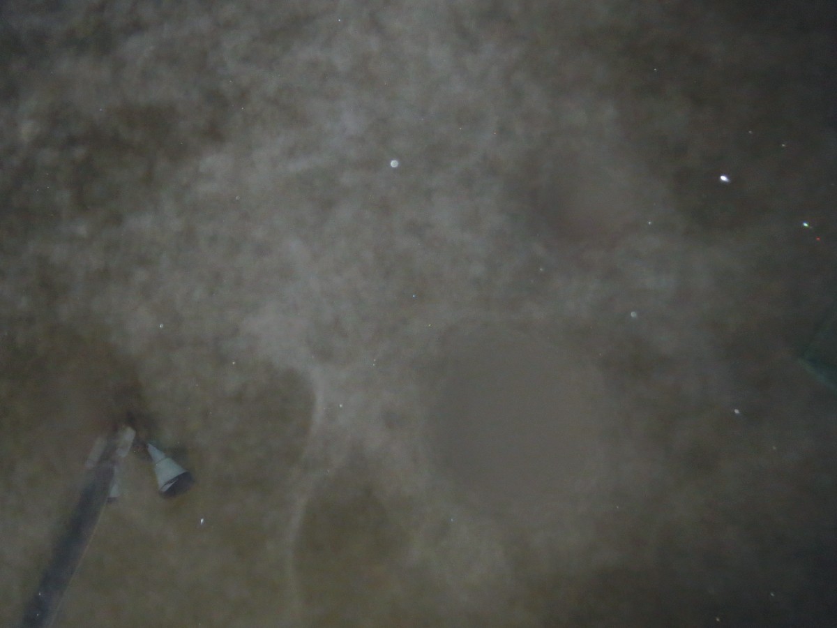 c0331825_21304858.jpg