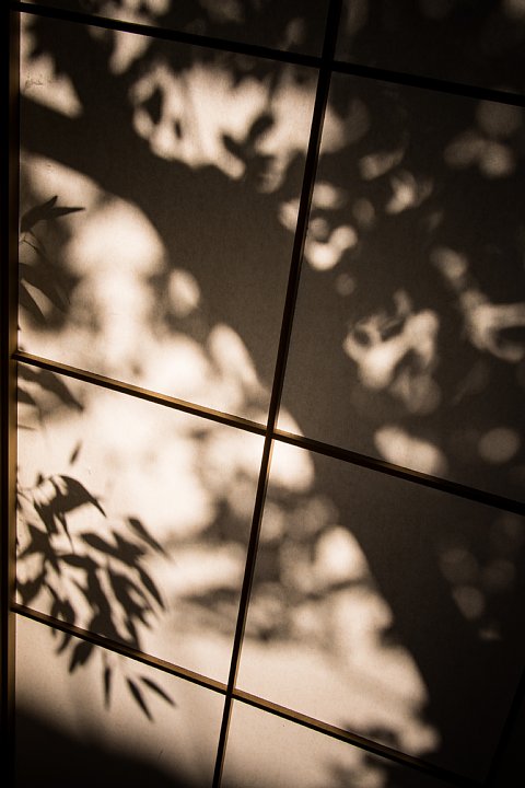 b0134829_1634279.jpg
