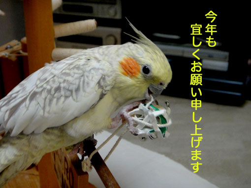 a0056140_21351461.jpg