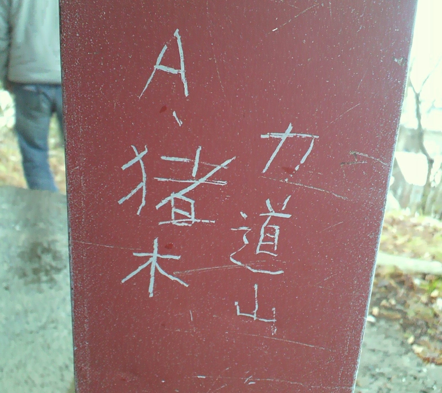 a0228940_23145231.jpg