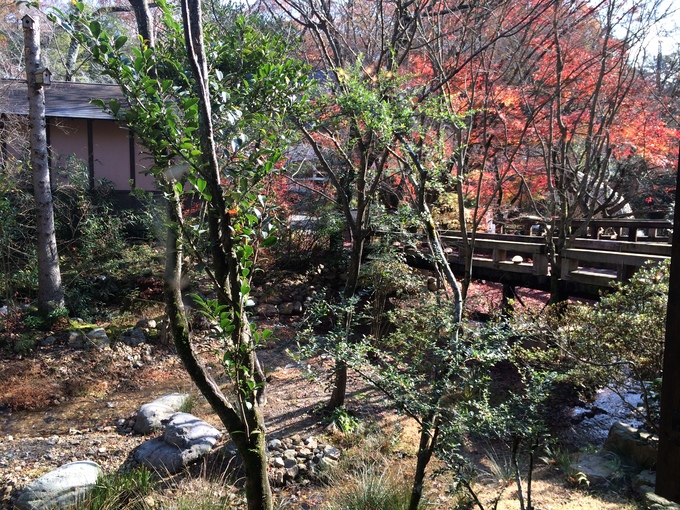 a0251646_5512778.jpg