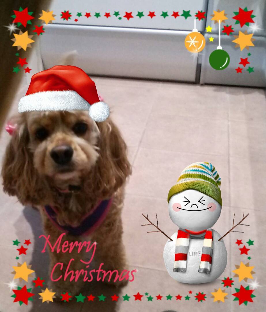 クリスマス_d0256356_02281602.jpg