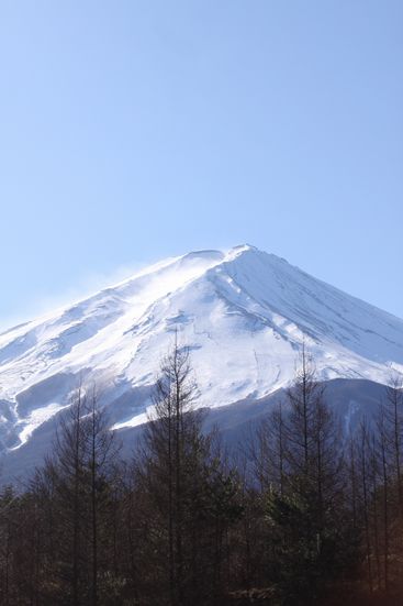 f0107364_20225954.jpg