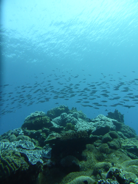 魅力満載の中城湾_a0309466_1942749.jpg