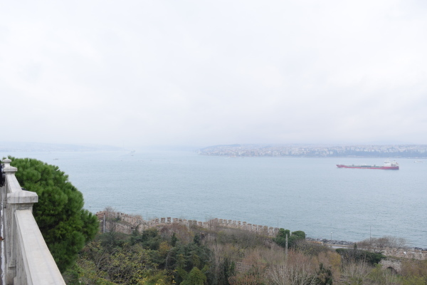f0341967_10241542.jpg