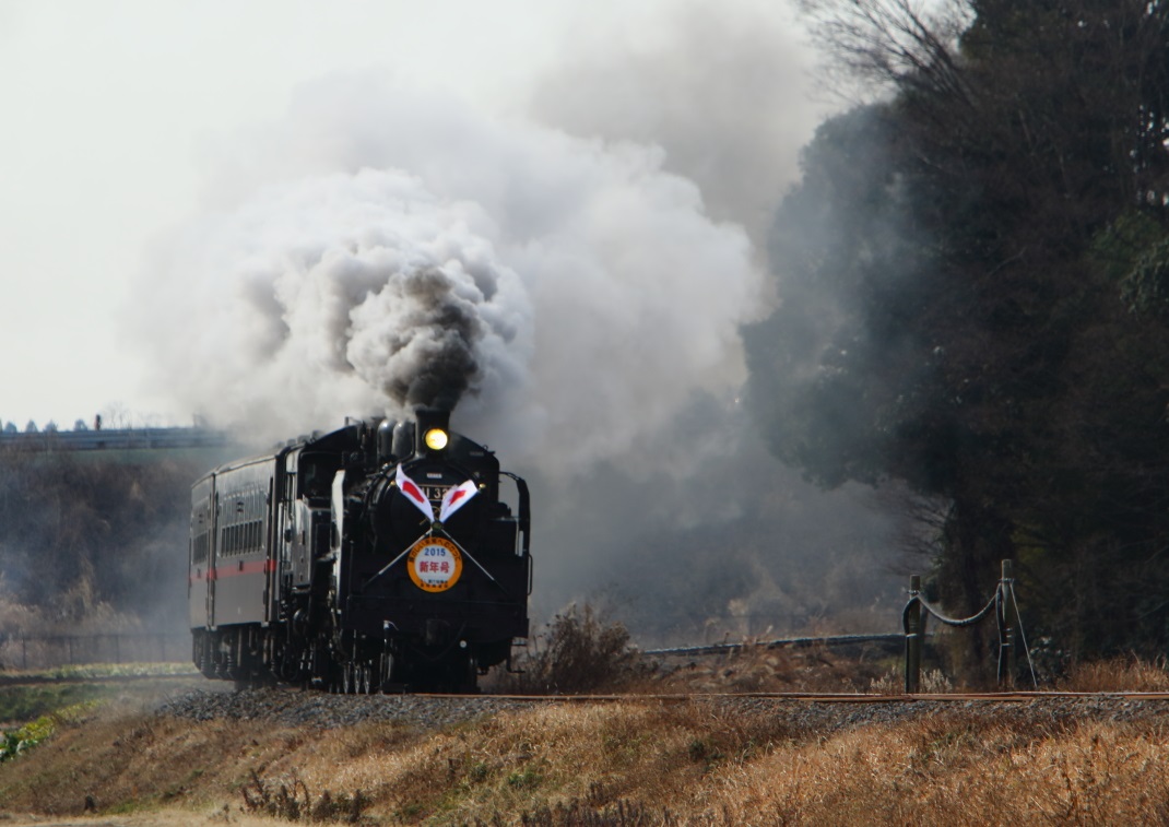 真岡鐵道ＳＬ　新年号　 ２０１５・０１・０４_e0143883_1954850.jpg