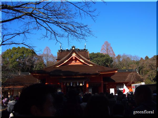 初詣　富士山本宮浅間大社_b0040888_21443087.jpg