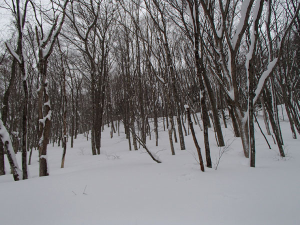 a0043193_1554615.jpg