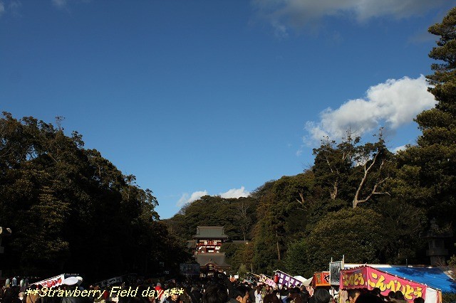 c0087094_15473888.jpg