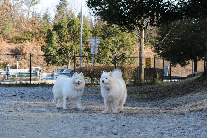 Go！West　忘年会＆1日目_a0049296_1932751.jpg