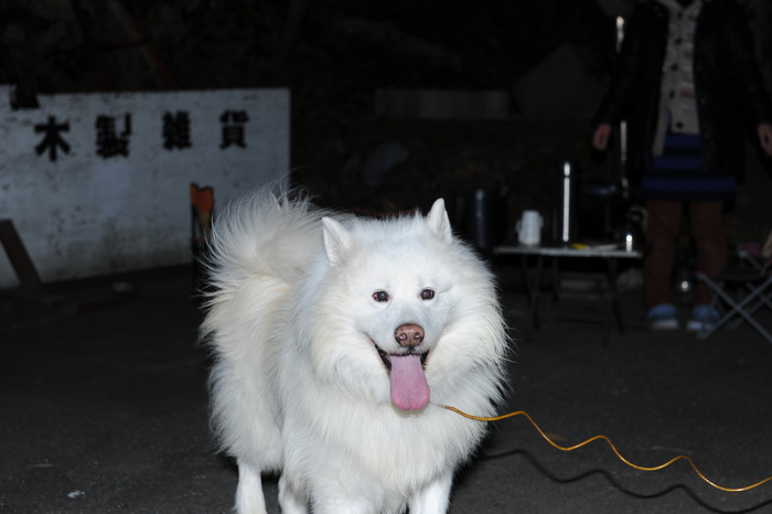 Go！West　忘年会＆1日目_a0049296_19531037.jpg