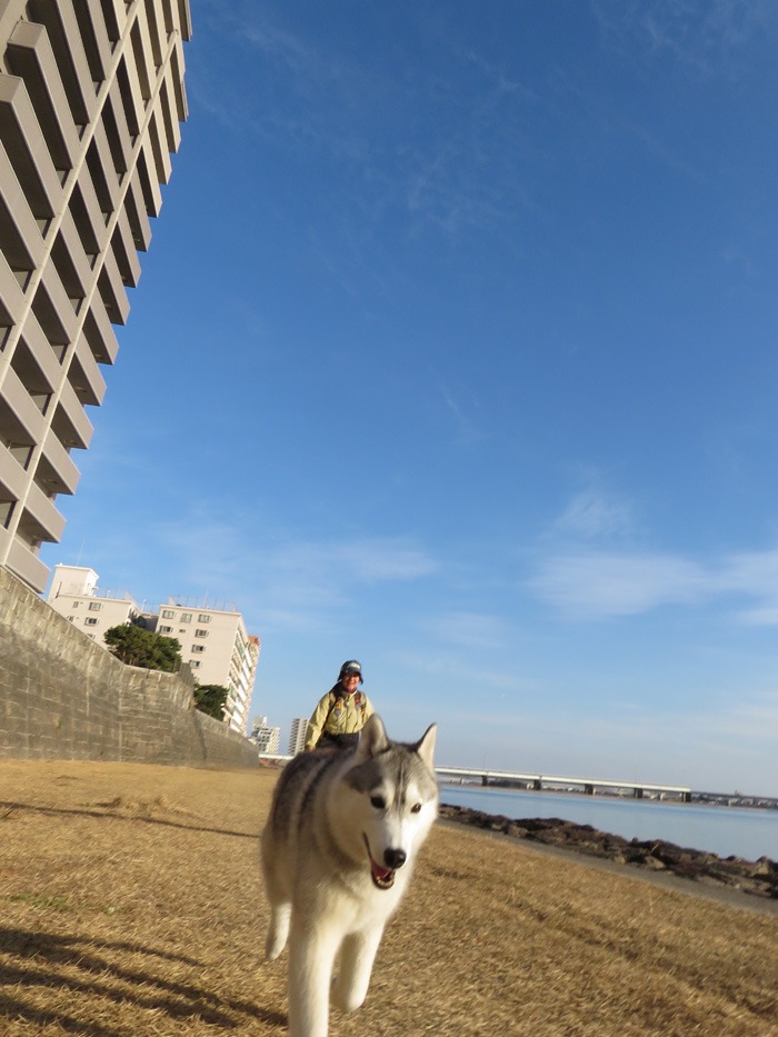 赤い日、青い空、黄色い月 (*^_^*)_c0049299_2284083.jpg