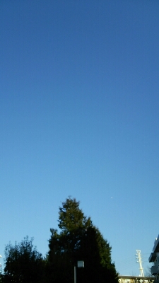 f0114900_16543942.jpg