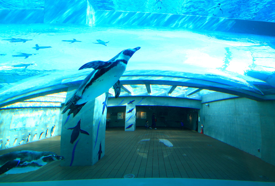 e0093903_20101022.jpg