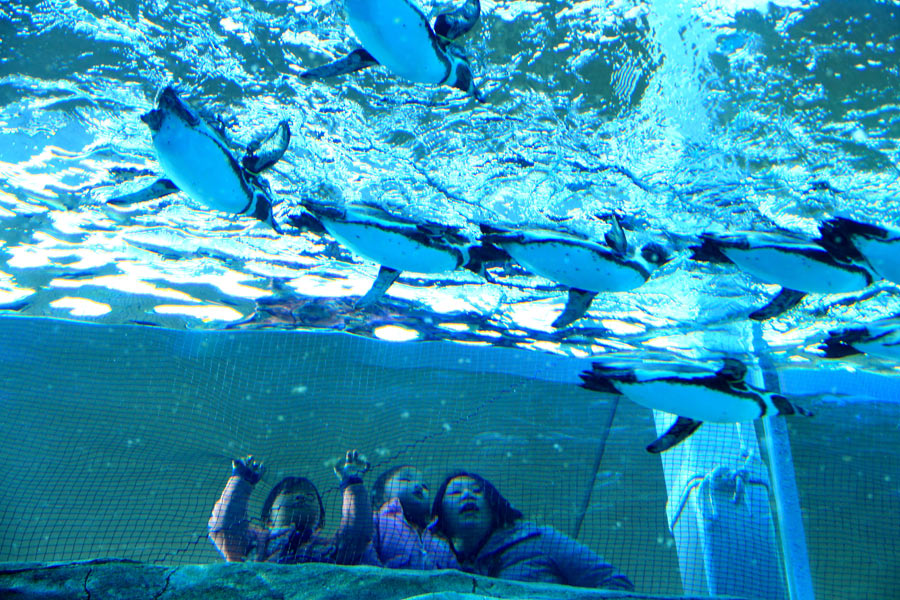 e0093903_20113046.jpg