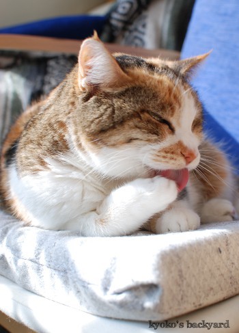 クオリティ・タイム_b0253205_04343760.jpg
