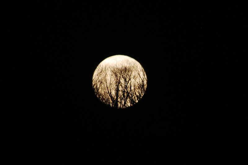 d0051707_17361029.jpg