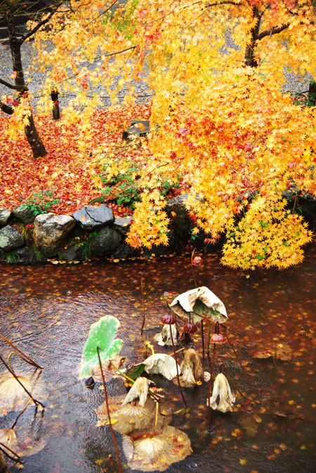 a0263109_21353036.jpg