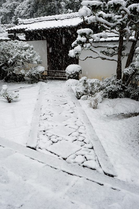 元旦雪景色!@東福寺塔頭 芬陀院_f0032011_19401132.jpg