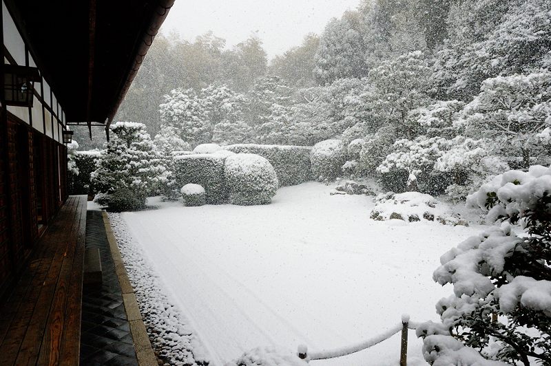 元旦雪景色!@東福寺塔頭 芬陀院_f0032011_20105758.jpg