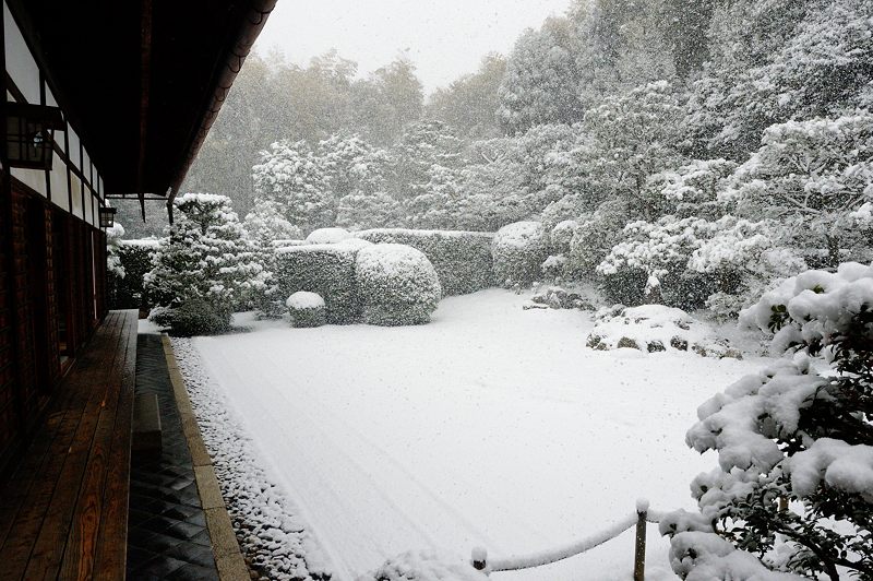 元旦雪景色!＠東福寺塔頭　芬陀院_f0032011_20105758.jpg