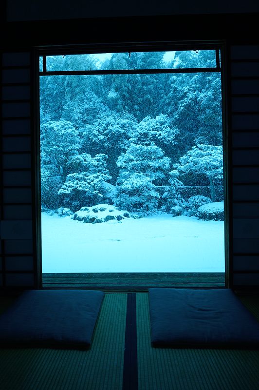 元旦雪景色!@東福寺塔頭 芬陀院_f0032011_2063912.jpg