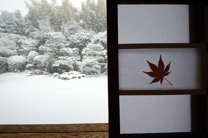 元旦雪景色!@東福寺塔頭 芬陀院_f0032011_2065264.jpg
