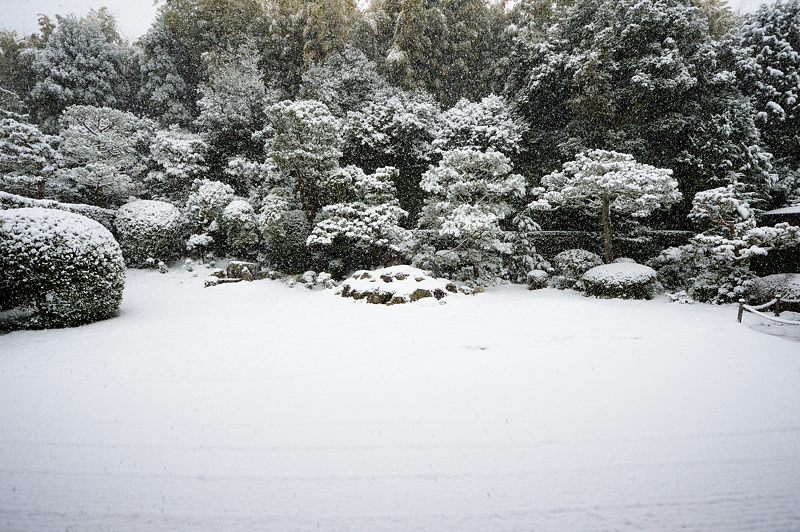 元旦雪景色!@東福寺塔頭 芬陀院_f0032011_2075045.jpg