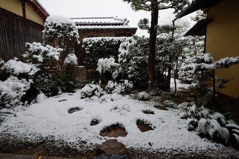 元旦雪景色!@東福寺塔頭 芬陀院_f0032011_2082914.jpg