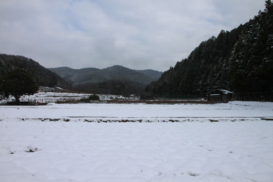 菜園は大雪_e0048413_18144417.jpg