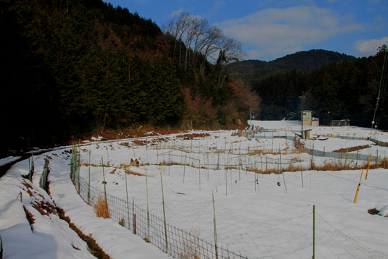 菜園は大雪_e0048413_1815749.jpg