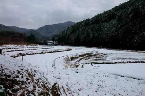菜園は大雪_e0048413_1815757.jpg
