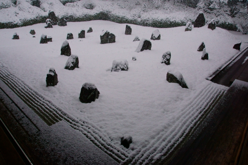 東福寺塔頭光明院_e0177413_20472319.jpg