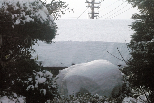 北陸の雪と、富山ライトレール_e0158517_2284346.jpg