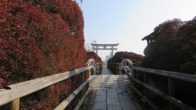 c0280322_16142739.jpg