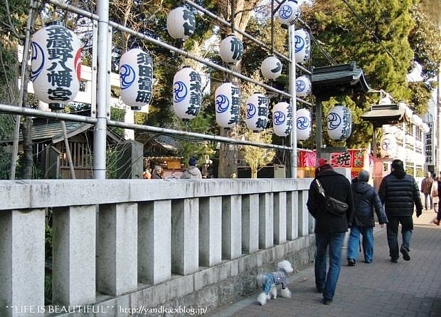 初詣&吉祥寺散策_d0083623_1771589.jpg