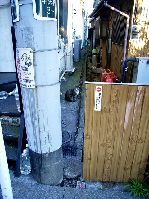 a0136725_3285728.jpg
